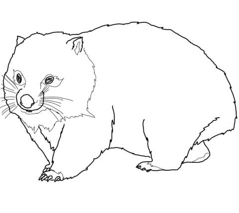 Wombat From Wombat Coloring Page